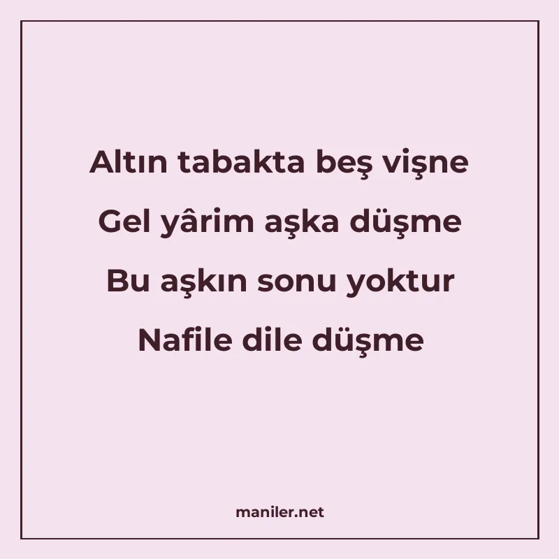 Altın tabakta beş vişne Gel yârim aşka düşme Bu aşkın sonu y manisi görseli
