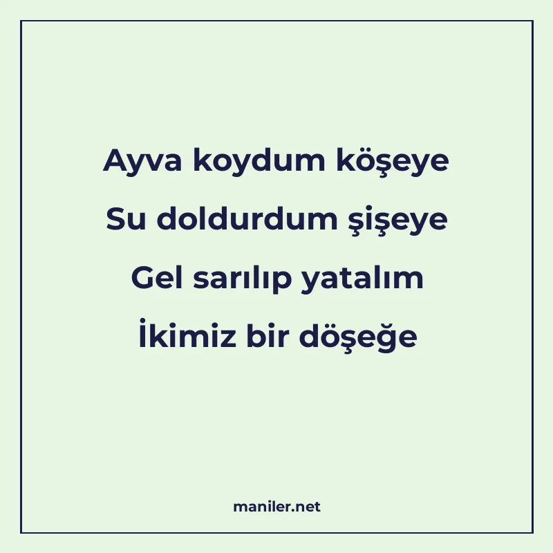 Ayva koydum köşeye Su doldurdum şişeye Gel sarılıp yatalım İ manisi görseli