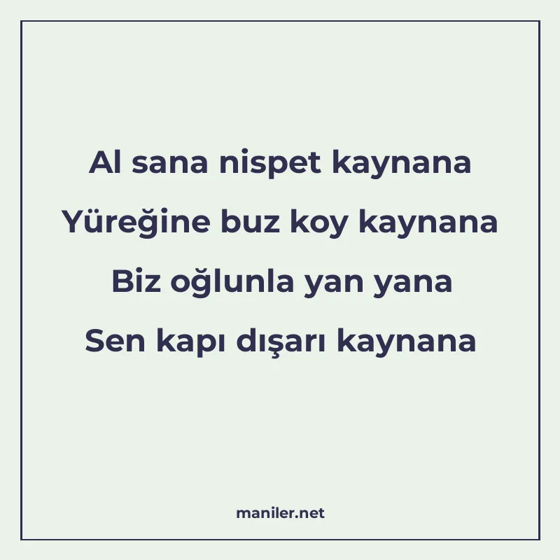 Al sana nispet kaynana Yüreğine buz koy kaynana Biz oğlunla