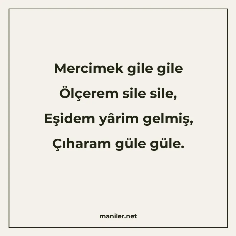Mercimek gile gile Ölçerem sile sile, Eşidem yârim gelmiş, Ç manisi görseli