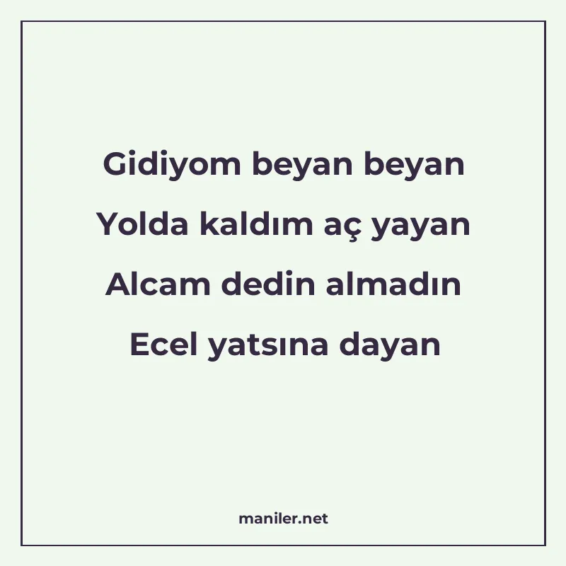 Gidiyom beyan beyan Yolda kaldım aç yayan Alcam dedin almadı manisi görseli