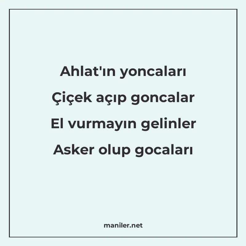 Ahlat'ın yoncaları Çiçek açıp goncalar El vurmayın geli manisi görseli