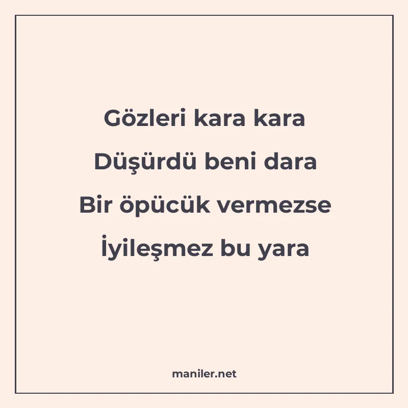 Gözleri kara kara Düşürdü beni dara Bir öpücük vermezse İyil manisi görseli