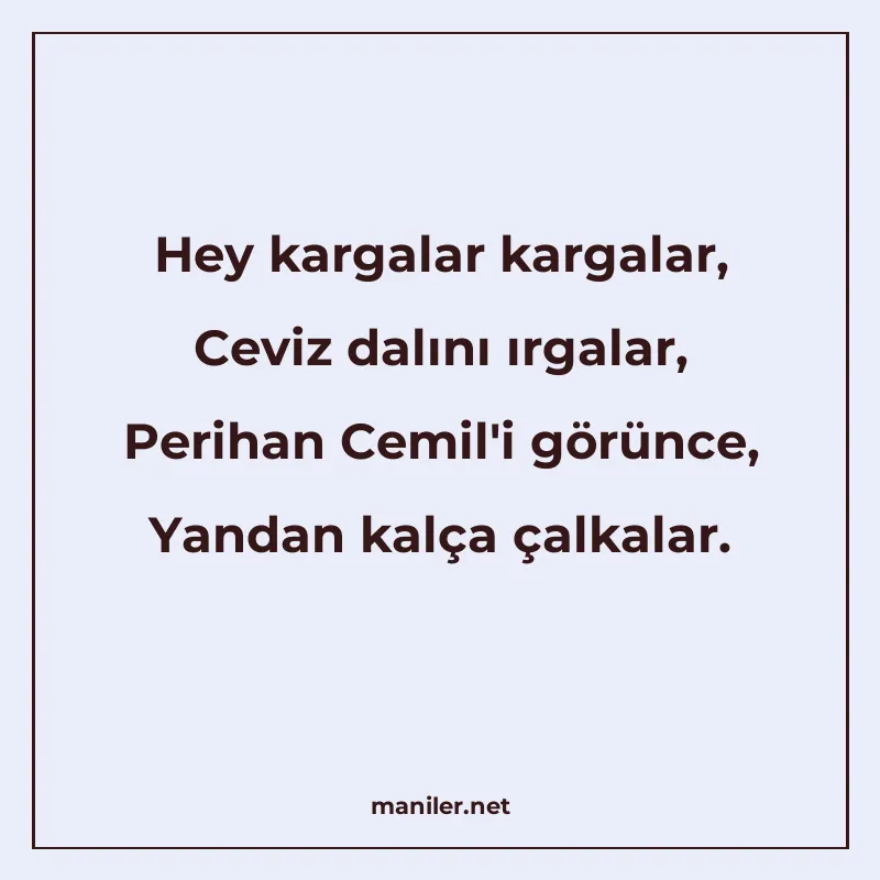 Hey kargalar kargalar, Ceviz dalını ırgalar, Perihan Cemil&a manisi görseli