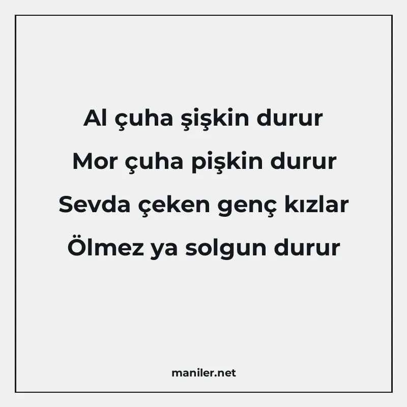 Al çuha şişkin durur Mor çuha pişkin durur Sevda çeken genç