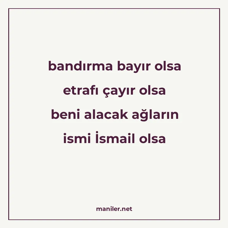 bandırma bayır olsa etrafı çayır olsa beni alacak ağların is manisi görseli