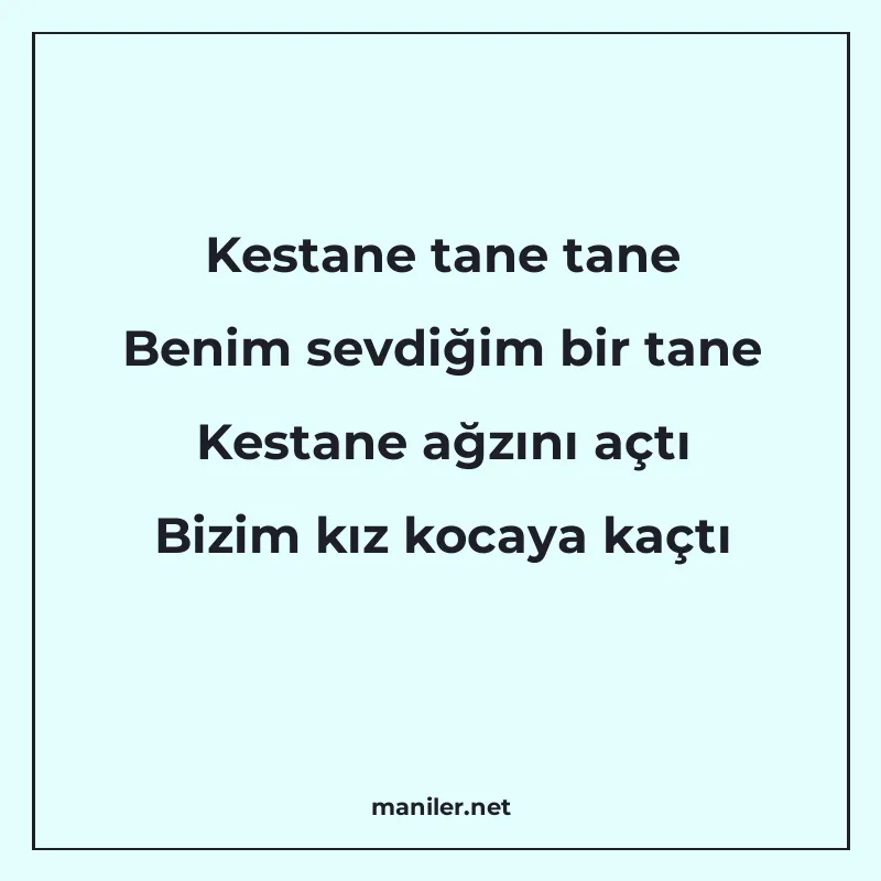 Kestane tane tane Benim sevdiğim bir tane Kestane ağzını açt manisi görseli