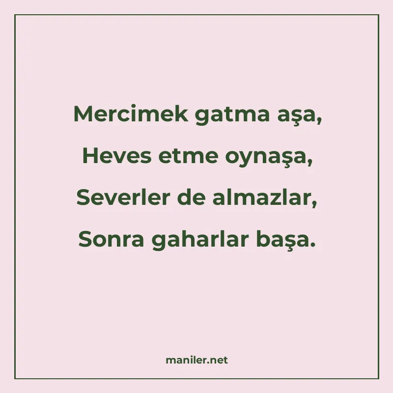 Mercimek gatma aşa, Heves etme oynaşa, Severler de almazlar manisi görseli