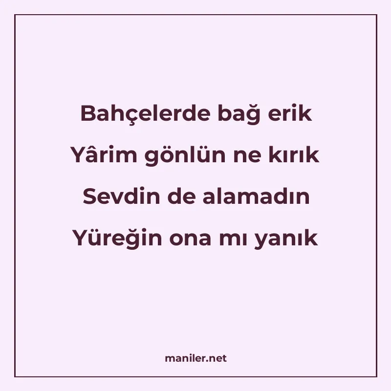 Bahçelerde bağ erik Yârim gönlün ne kırık Sevdin de alamadın manisi görseli