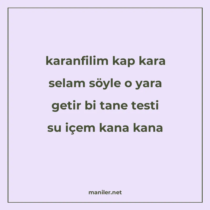 karanfilim kap kara selam söyle o yara getir bi tane testi s manisi görseli