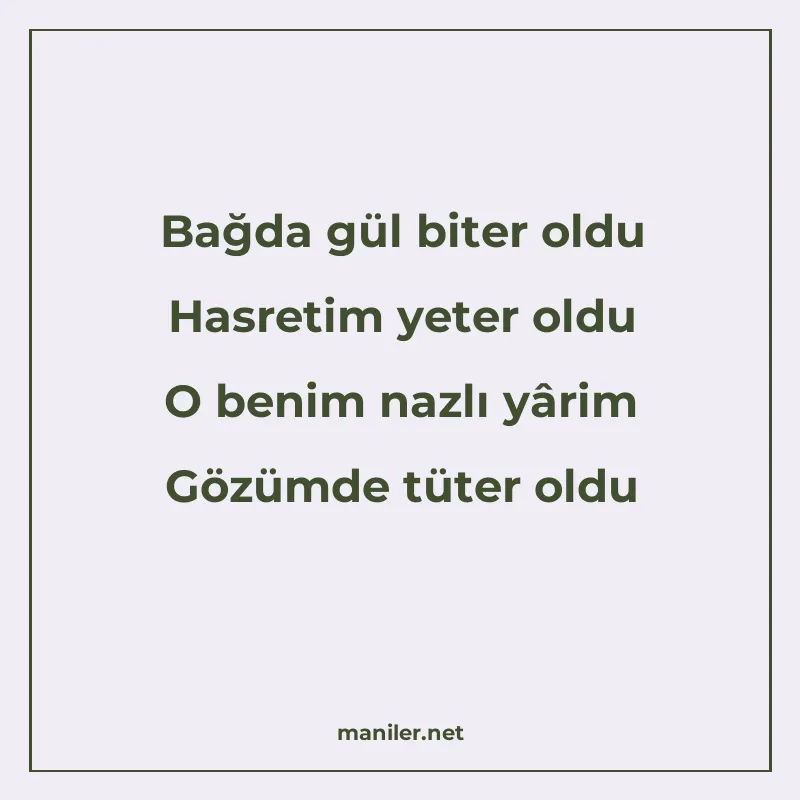 Bağda gül biter oldu Hasretim yeter oldu O benim nazlı yârim manisi görseli