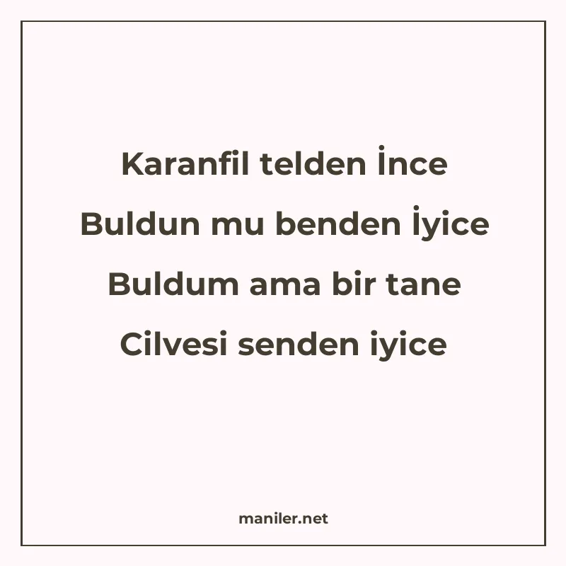 Karanfil telden İnce Buldun mu benden İyice Buldum ama bir t manisi görseli