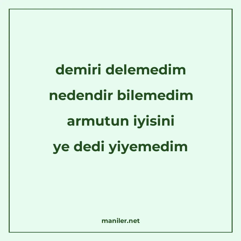 demiri delemedim nedendir bilemedim armutun iyisini ye dedi manisi görseli