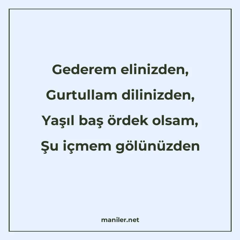 Gederem elinizden, Gurtullam dilinizden, Yaşıl baş ördek ols manisi görseli