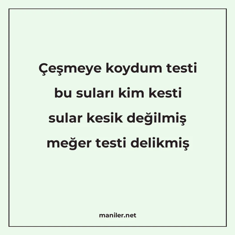 Çeşmeye koydum testi bu suları kim kesti sular kesik değilmi manisi görseli
