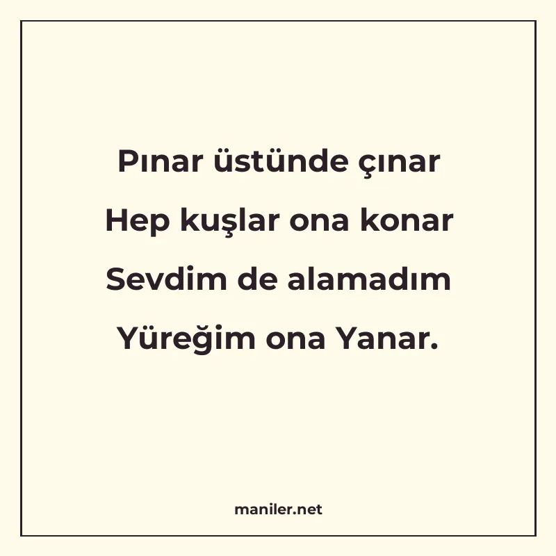 Pınar üstünde çınar Hep kuşlar ona konar Sevdim de alamadım