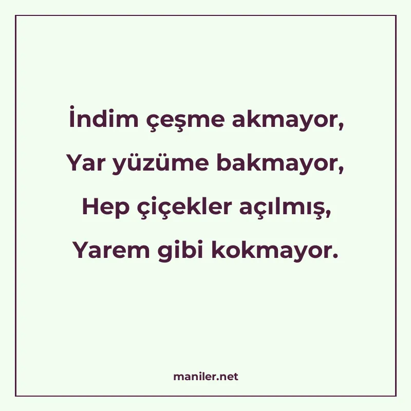 İndim çeşme akmayor, Yar yüzüme bakmayor, Hep çiçekler açılm manisi görseli