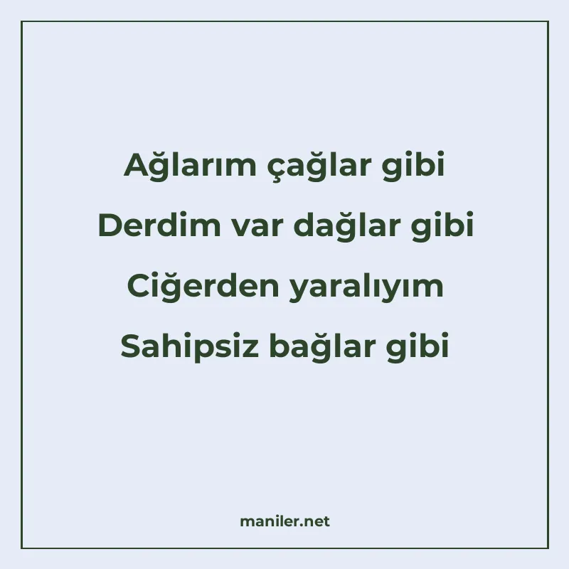 Ağlarım çağlar gibi Derdim var dağlar gibi Ciğerden yaralıyı manisi görseli