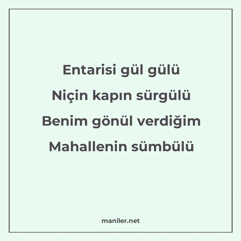Entarisi gül gülü Niçin kapın sürgülü Benim gönül verdiğim M manisi görseli