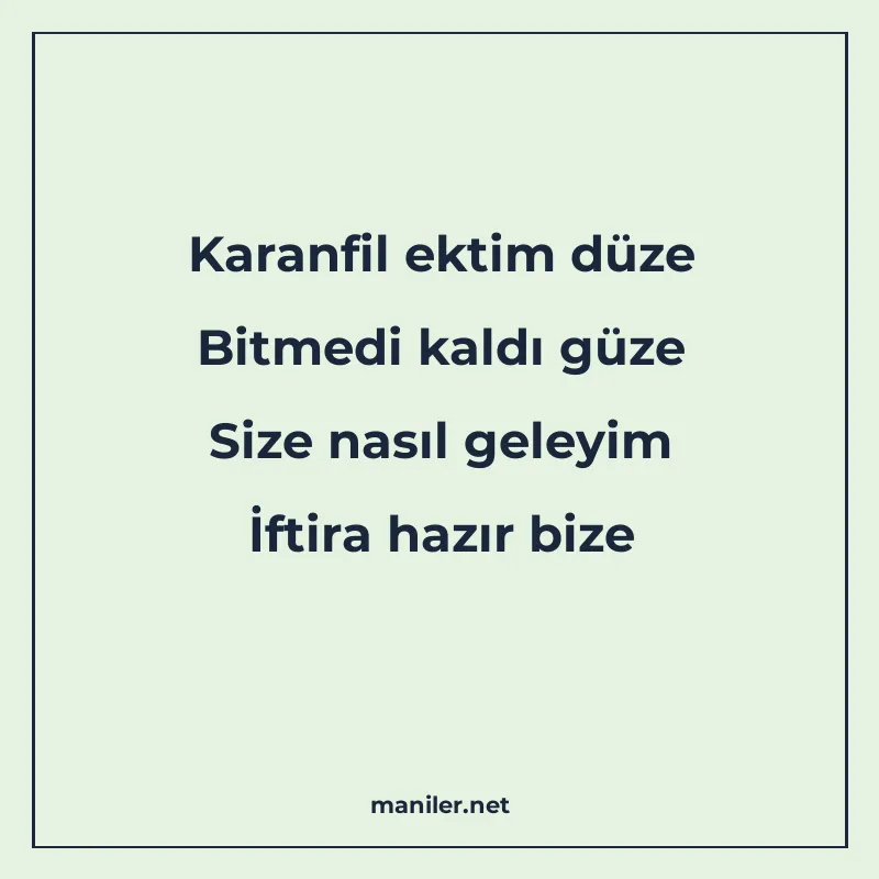 Karanfil ektim düze Bitmedi kaldı güze Size nasıl geleyim İf manisi görseli