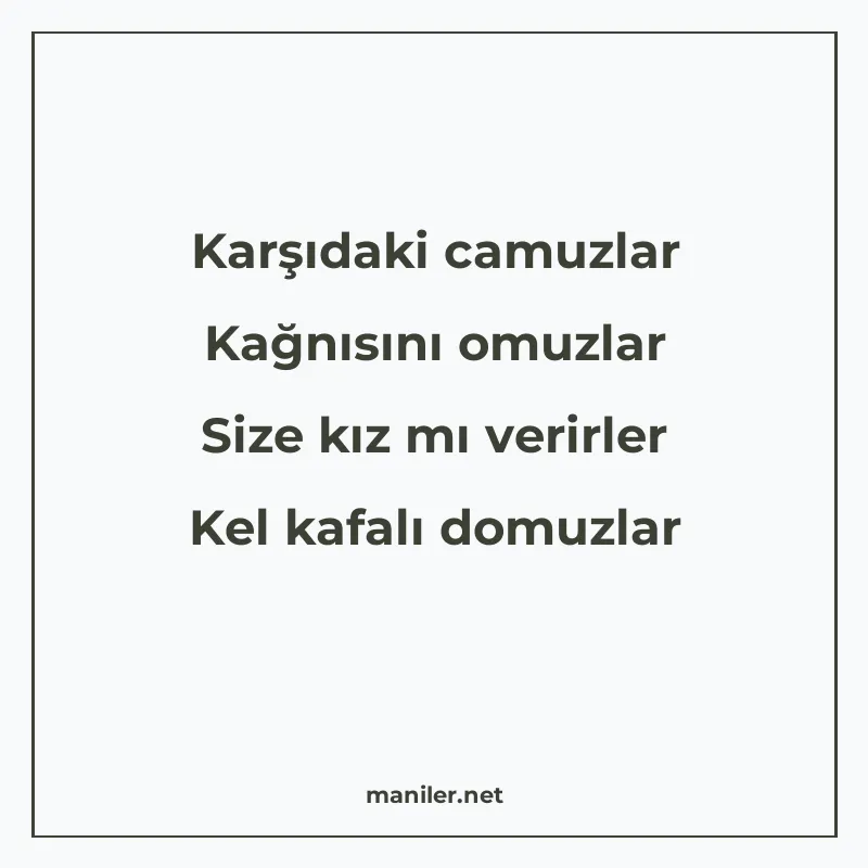 Karşıdaki camuzlar Kağnısını omuzlar Size kız mı verirler Ke manisi görseli