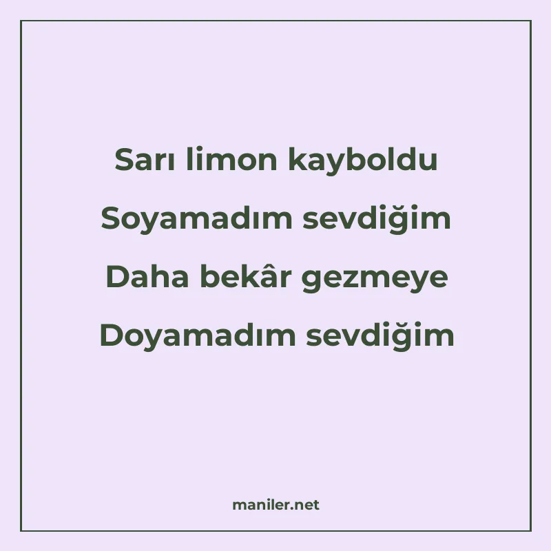 Sarı limon kayboldu Soyamadım sevdiğim Daha bekâr gezmeye Do manisi görseli