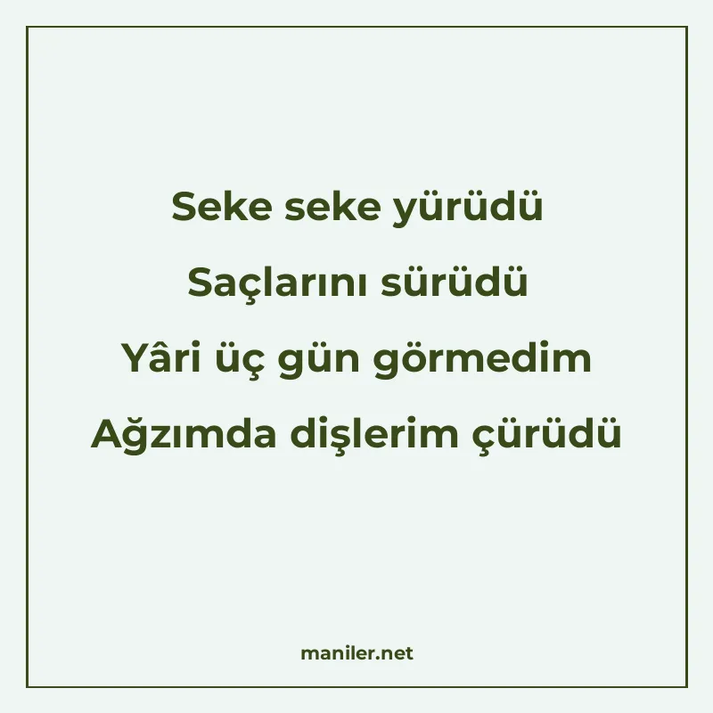 Seke seke yürüdü Saçlarını sürüdü Yâri üç gün görmedim Ağzım manisi görseli