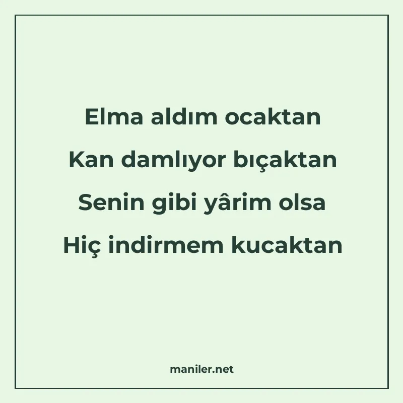 Elma aldım ocaktan Kan damlıyor bıçaktan Senin gibi yârim ol manisi görseli