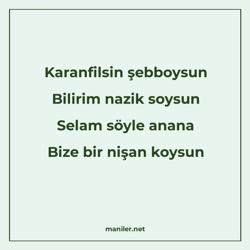 Karanfilsin şebboysun Bilirim nazik soysun Selam söyle anana manisi görseli