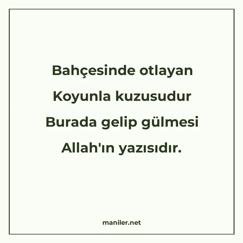 Bahçesinde otlayan Koyunla kuzusudur Burada gelip gülmesi Al manisi görseli