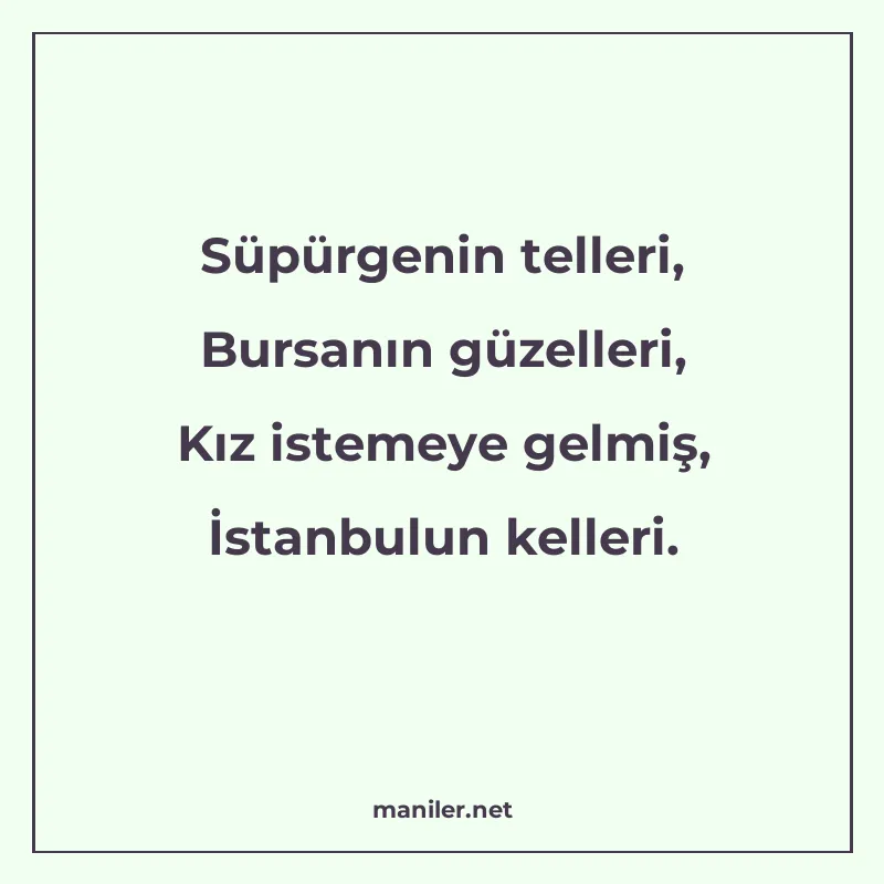 Süpürgenin telleri, Bursanın güzelleri, Kız istemeye gelmiş manisi görseli