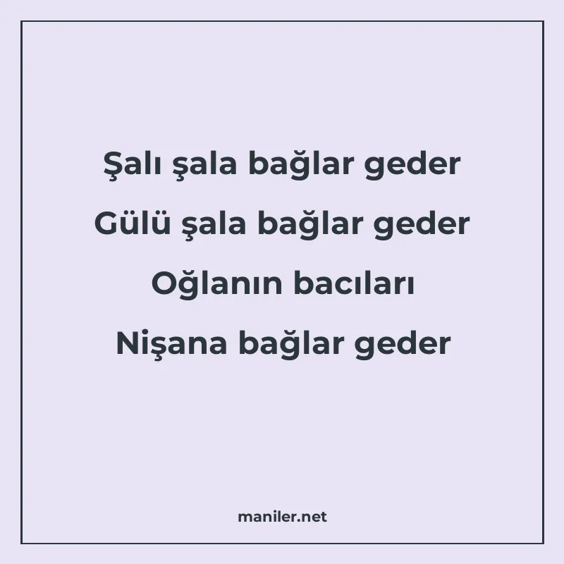 Şalı şala bağlar geder Gülü şala bağlar geder Oğlanın bacıla manisi görseli