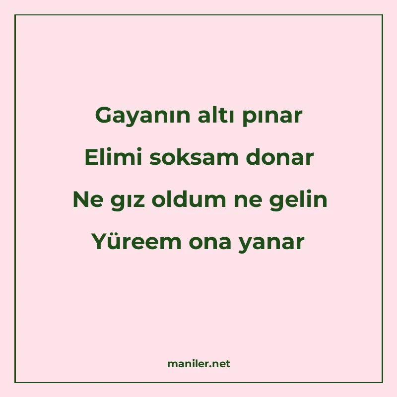 Gayanın altı pınar Elimi soksam donar Ne gız oldum ne gelin manisi görseli