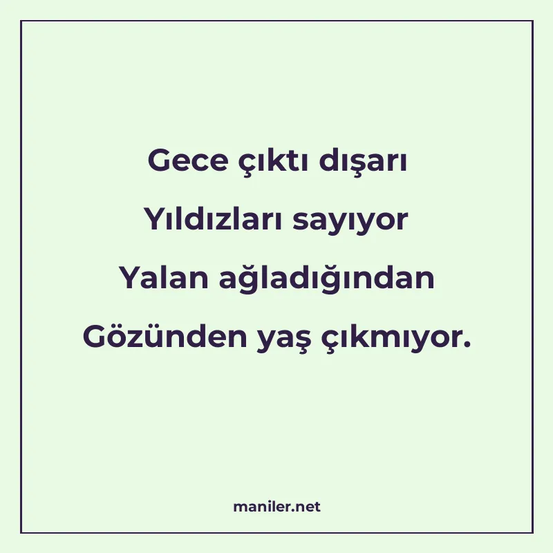 Gece çıktı dışarı Yıldızları sayıyor Yalan ağladığından Gözü manisi görseli