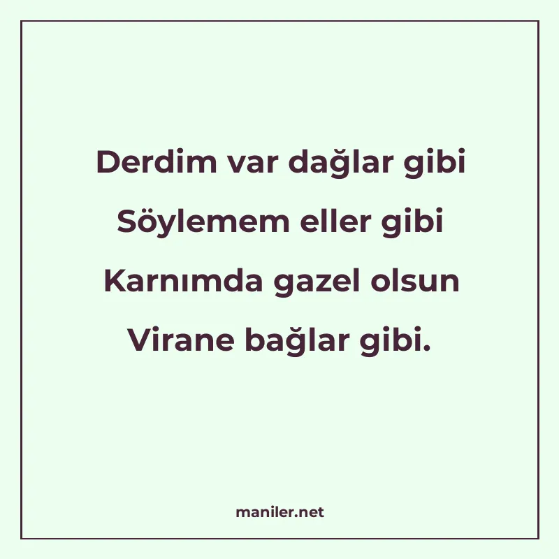 Derdim var dağlar gibi Söylemem eller gibi Karnımda gazel ol manisi görseli