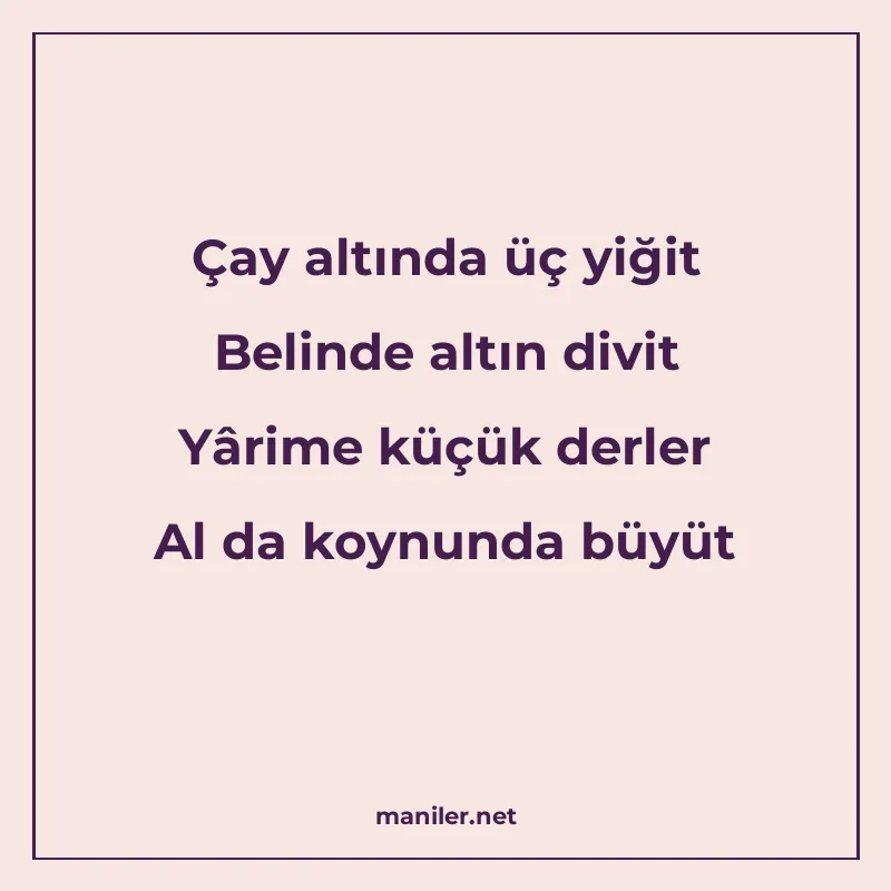 Çay altında üç yiğit Belinde altın divit Yârime küçük derler manisi görseli