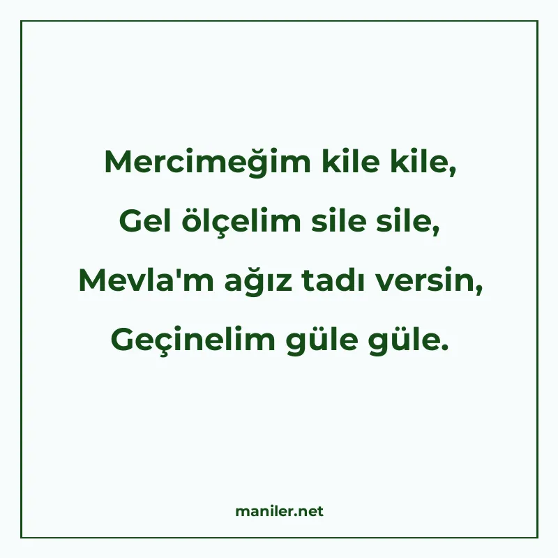 Mercimeğim kile kile, Gel ölçelim sile sile, Mevla'm ağ manisi görseli