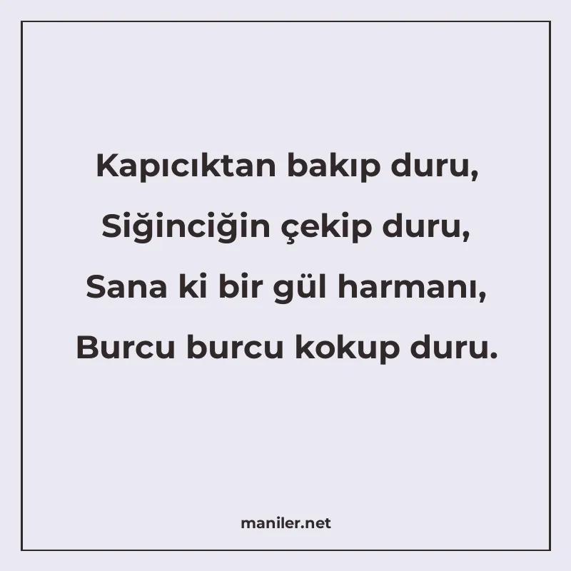 Kapıcıktan bakıp duru, Siğinciğin çekip duru, Sana ki bir gü manisi görseli