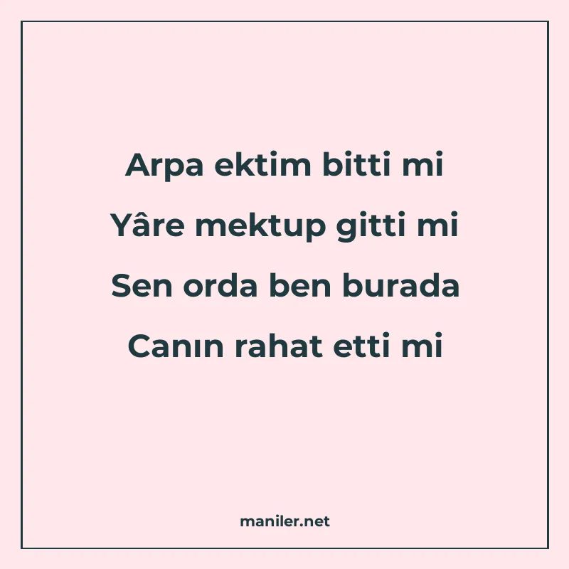 Arpa ektim bitti mi Yâre mektup gitti mi Sen orda ben burada manisi görseli