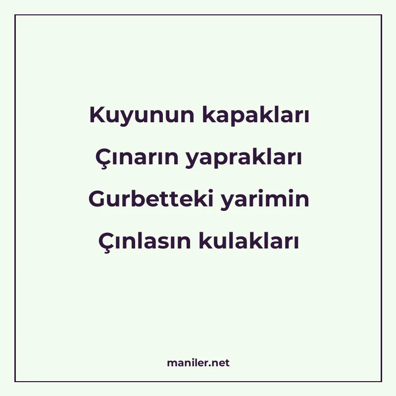 Kuyunun kapakları Çınarın yaprakları Gurbetteki yarimin Çınl manisi görseli