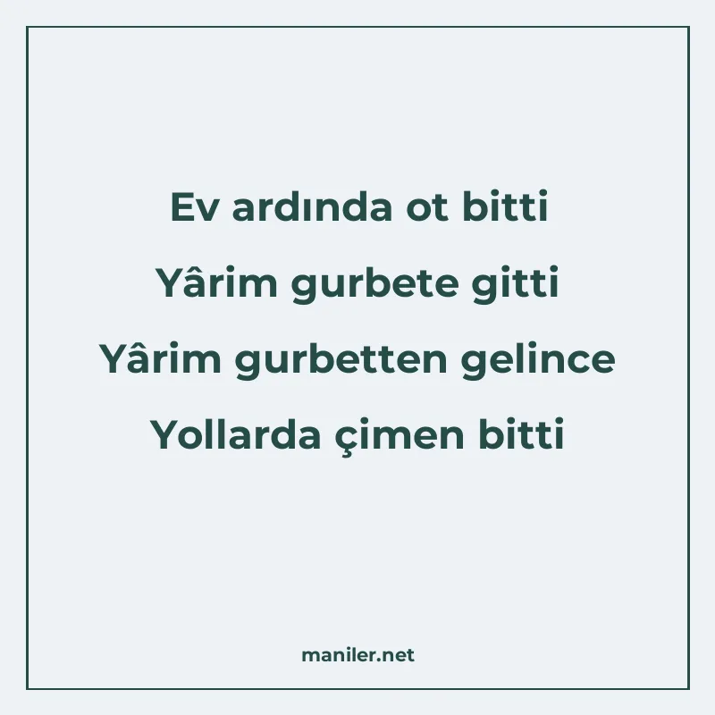 Ev ardında ot bitti Yârim gurbete gitti Yârim gurbetten geli manisi görseli