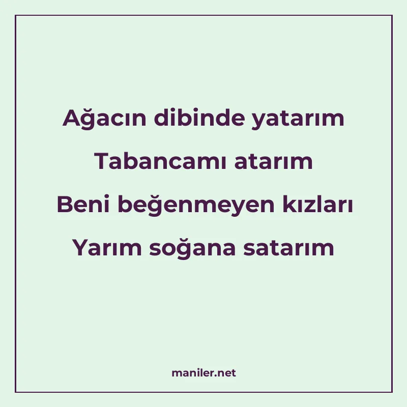 Ağacın dibinde yatarım Tabancamı atarım Beni beğenmeyen kızl manisi görseli