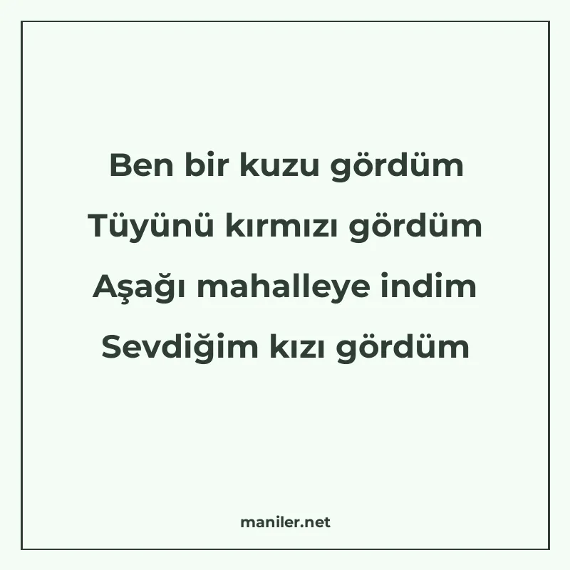 Ben bir kuzu gördüm Tüyünü kırmızı gördüm Aşağı mahalleye in manisi görseli