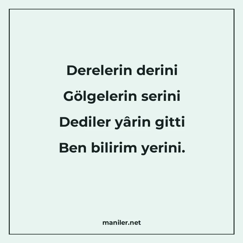 Derelerin derini Gölgelerin serini Dediler yârin gitti Ben b manisi görseli