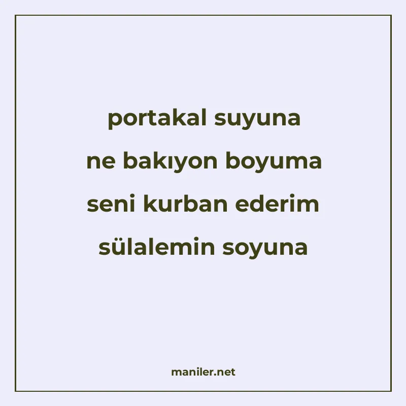 portakal suyuna ne bakıyon boyuma seni kurban ederim sülalem manisi görseli