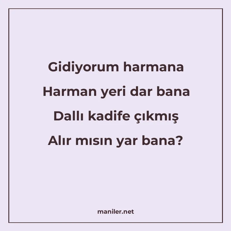 Gidiyorum harmana Harman yeri dar bana Dallı kadife çıkmış A