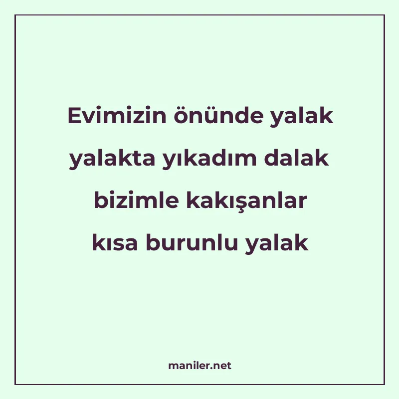 Evimizin önünde yalak yalakta yıkadım dalak bizimle kakışanl manisi görseli