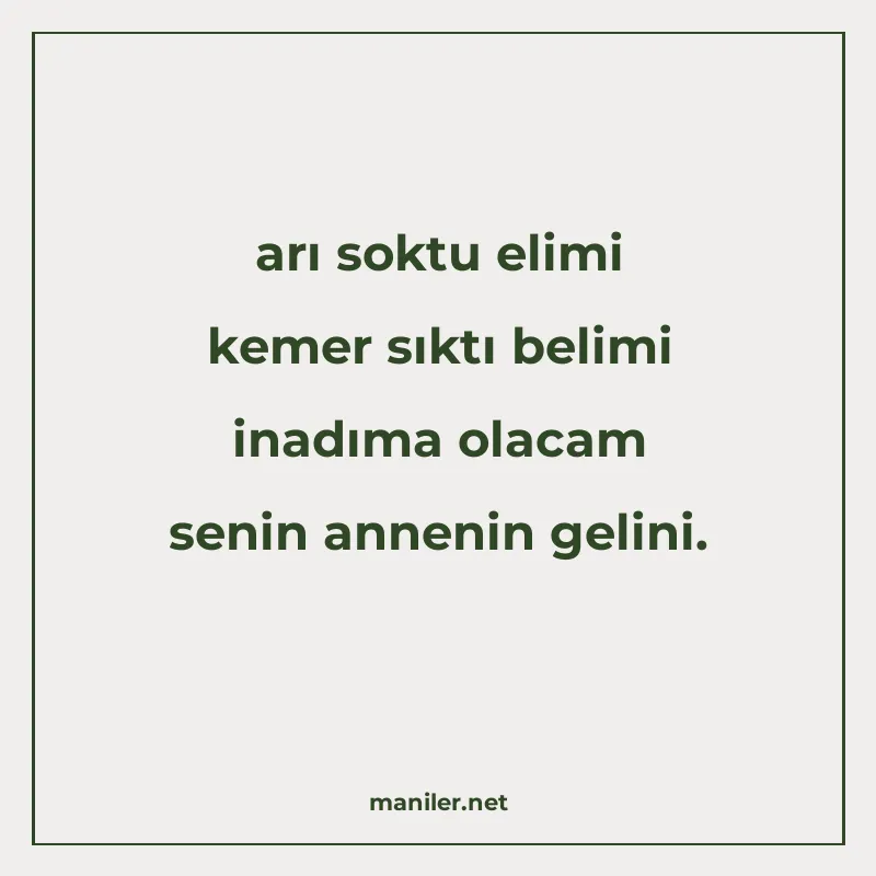 arı soktu elimi kemer sıktı belimi inadıma olacam senin anne manisi görseli