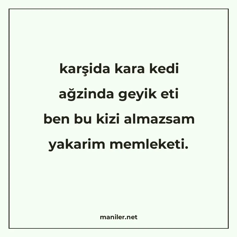 karşida kara kedi ağzinda geyik eti ben bu kizi almazsam yak manisi görseli