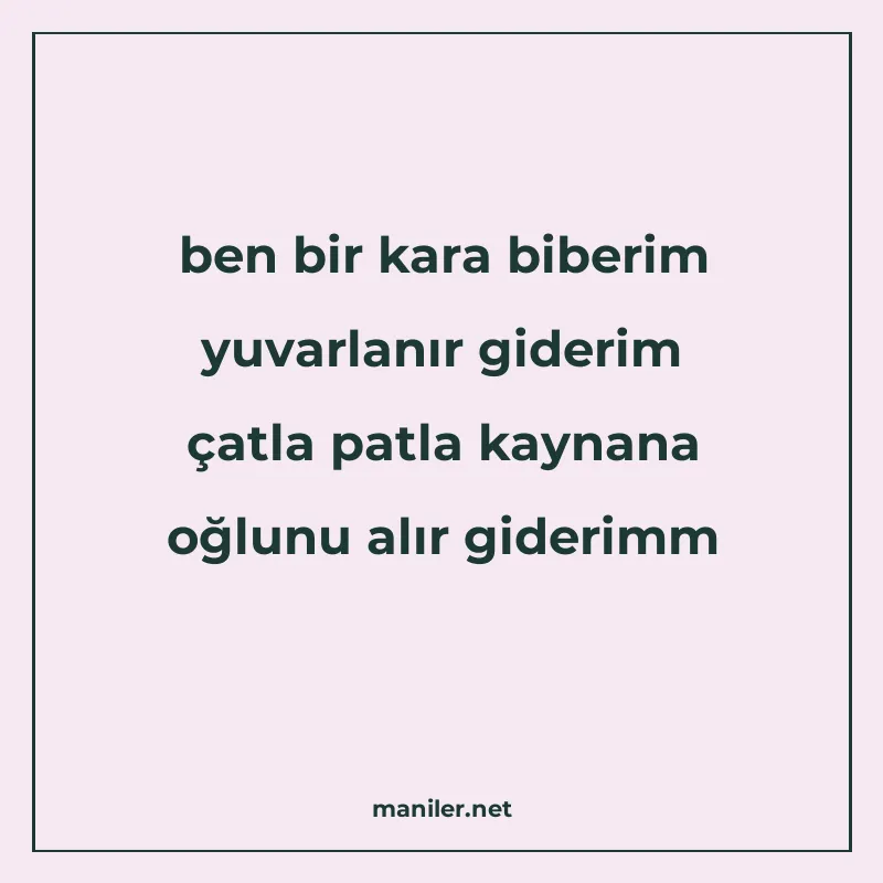 ben bir kara biberim yuvarlanır giderim çatla patla kaynana manisi görseli